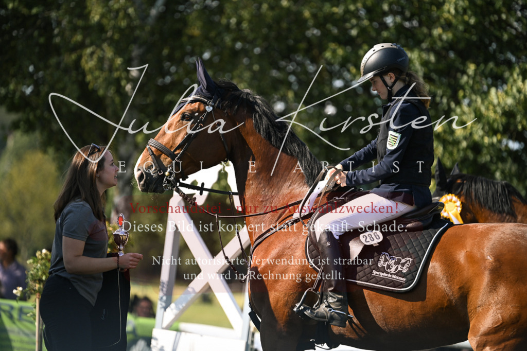 DSC_1531 | Pferde- und Turnierfotografie in Westsachsen. Pferdeportraits, Auftragszeichnungen und intuitive Kunst.