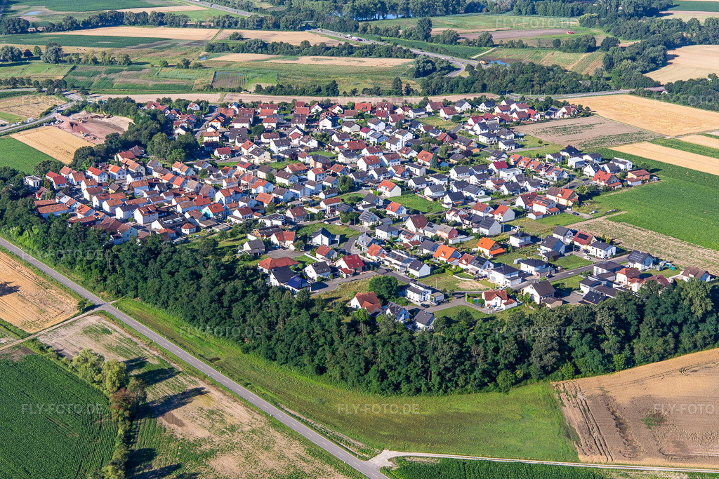 Luftbild: Ortsansicht von Nordosten im Ortsteil Hardtwald in Neupotz im Bundesland Rheinland-Pfalz in Deutschland. Foto: IMG_142527.jpg vom 09.07.2024 durch Werner Riehm/FLY-FOTO.de
