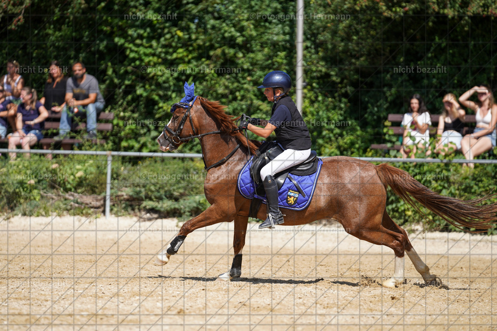 20240824-FAH08235 | Thierhaupten 2024, Bayerisches Landesponyturnier, Turnierbilder, Ponybilder, Turnierfotografen Bayern, Fotoagentur Herrmann