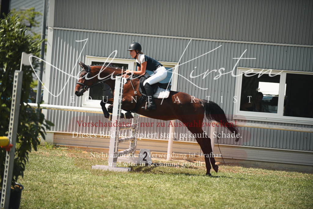 DSC_6492 | Pferde- und Turnierfotografie in Westsachsen. Pferdeportraits, Auftragszeichnungen und intuitive Kunst.