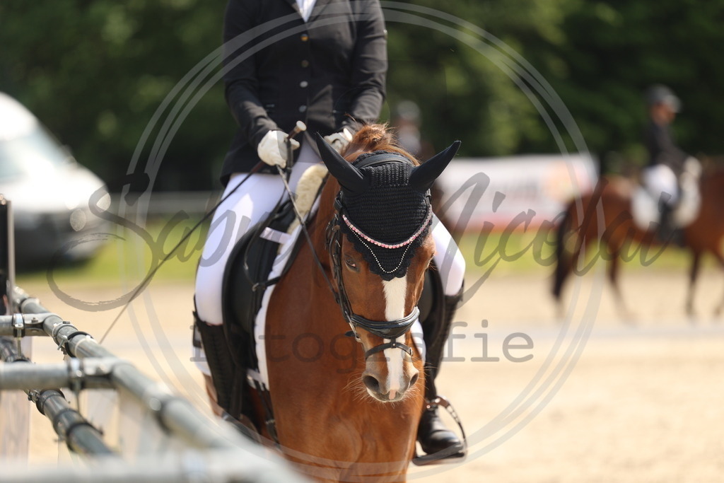 994A6760 | sabrinanicolaifotografie - Realisiert mit Pictrs.com