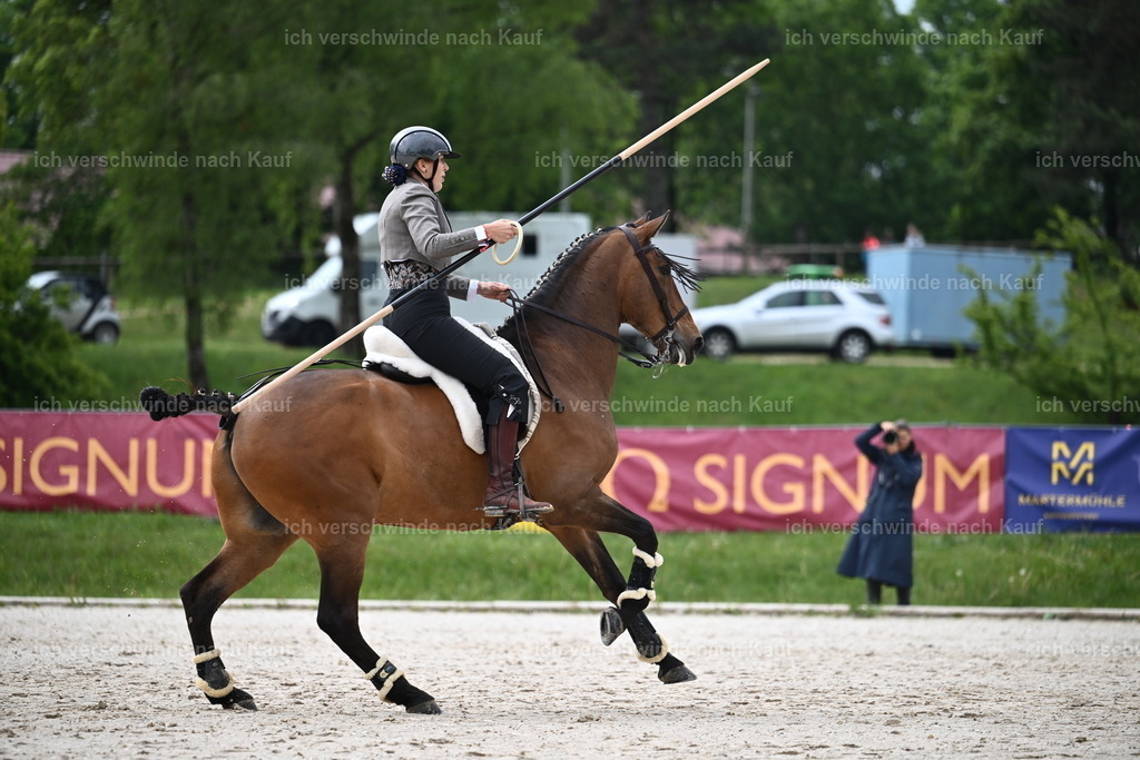 PI26_SP_Sara_Landvogt_226_4420.JPG | working equitationturnier fotograf videograf stoibphotography marixx film working equitation deutschland reitsport turnierfotografie eventfotografie equestrian events