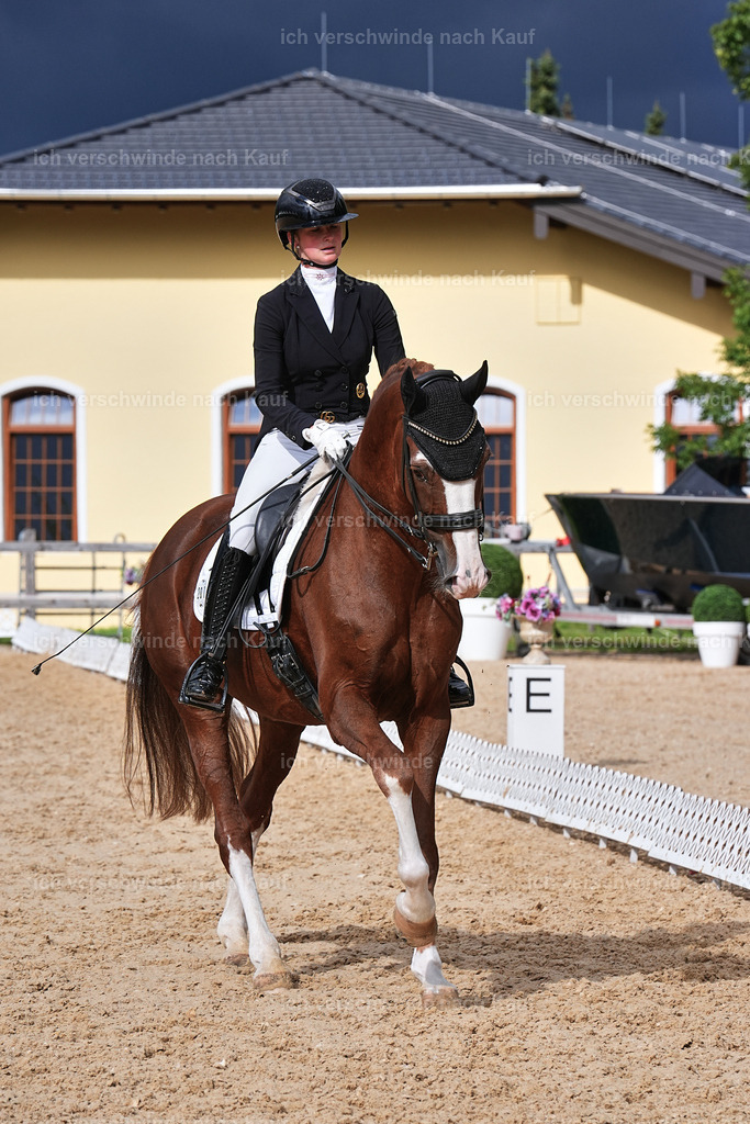 07-201-DRESSUR  S___  -Marixx-5174 | working equitationturnier fotograf videograf stoibphotography marixx film working equitation deutschland reitsport turnierfotografie eventfotografie equestrian events