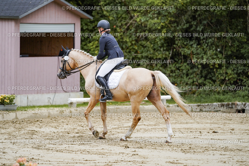 DSC09055 | Pferdegrafie