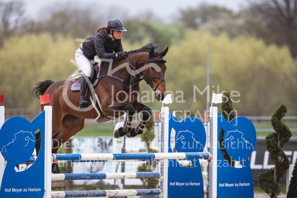 250417_Springpferde-L1-205 | Deine schönsten Turniermomente als professionelle Fotos! Entdecke hochwertige Pferdesport-Fotografie im Online-Shop. Jetzt Fotos finden & bestellen!