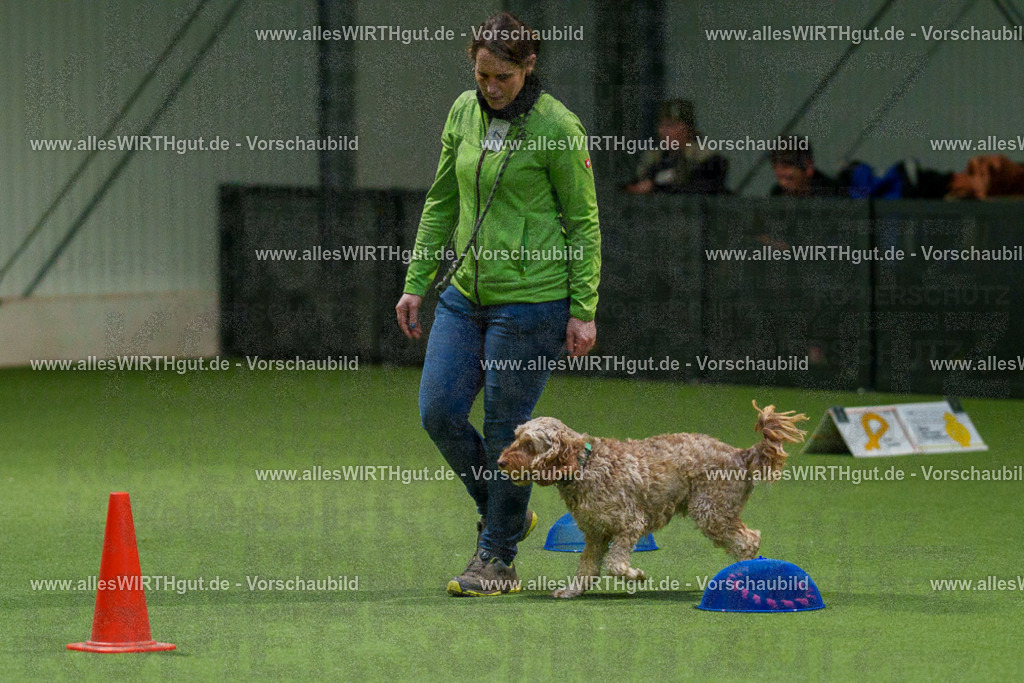 7R504502 | Professionelle Tierfotografie in Mönchengladbach von Daniel Wirth (allesWIRTHgut). Liebevolle & natürliche Bilder von Hunden & Katzen für unvergessliche Erinnerungen.