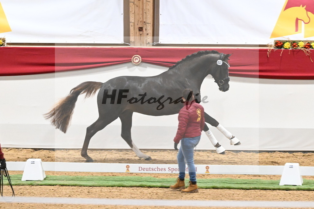 Kat.-Nr. 37 v. Benicio_Schulze Averdiek_3260163 | hf-fotografie - Realizzato con Pictrs.com