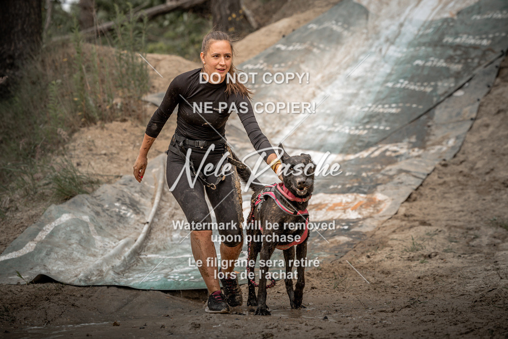 nelerasche_sa1300-1345_379 | nelerasche