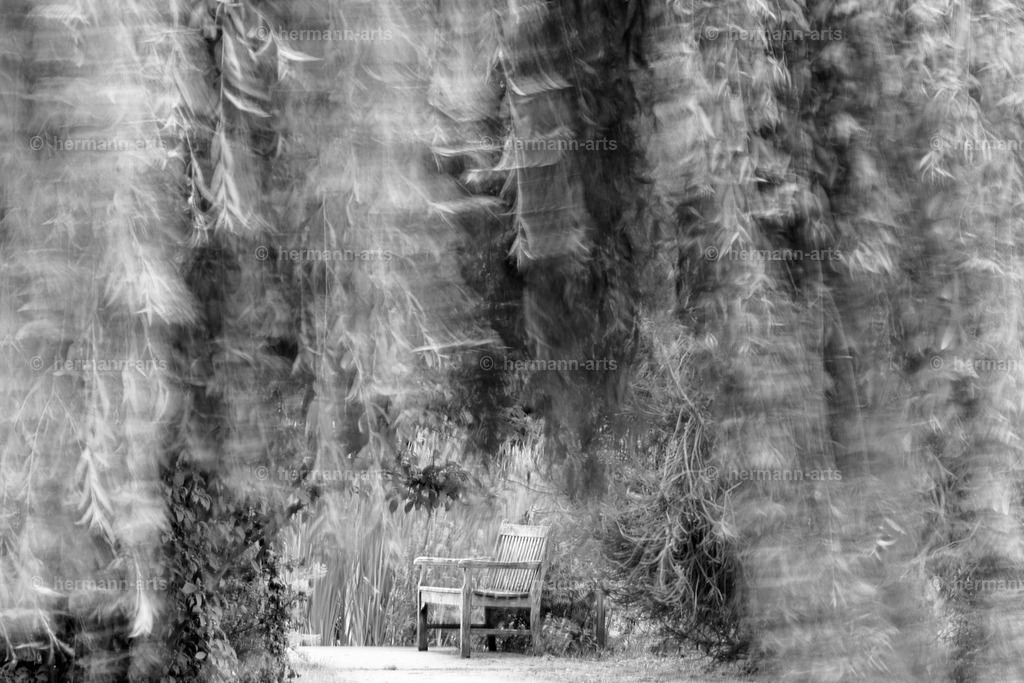 Nature-Arts-021 | Photo Foto Kunst Art schwarzweiss Bilder Rheine Münster Berlin Blumen 