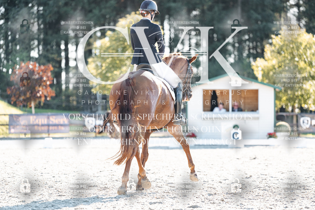 CK906935 | Turnierfotografie Pferdefotografie Trier Rheinland-Pfalz Pferdesport Reitsport Tierfotografie Sportfotografie Pferdevideo Pferdevideografie Equestrianvideography equestrianphotography  - Realisiert mit Pictrs.com