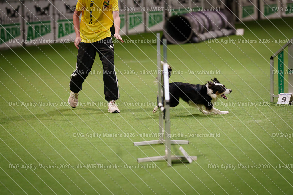 allesWIRTHgut_Tierfotografie-DVG_Agility_Masters_2026-07_21-7R507168 | Professionelle Tierfotografie in Mönchengladbach von Daniel Wirth (allesWIRTHgut). Liebevolle & natürliche Bilder von Hunden & Katzen für unvergessliche Erinnerungen.