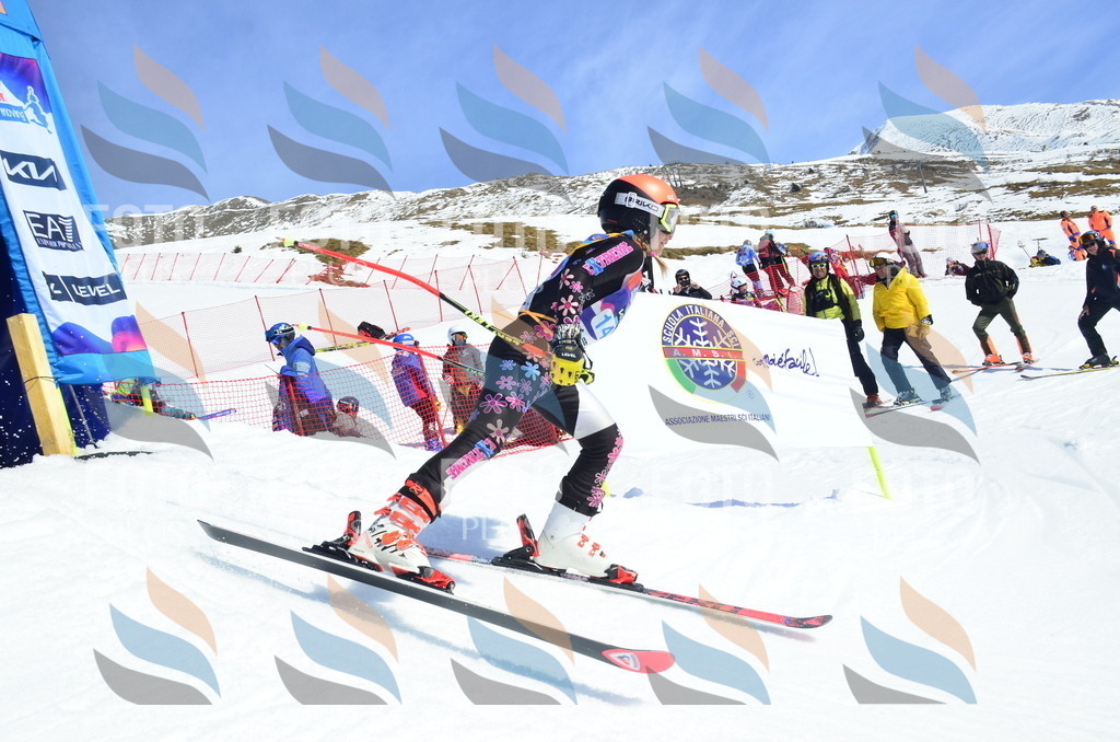 _ELE0975 | holidayphoto