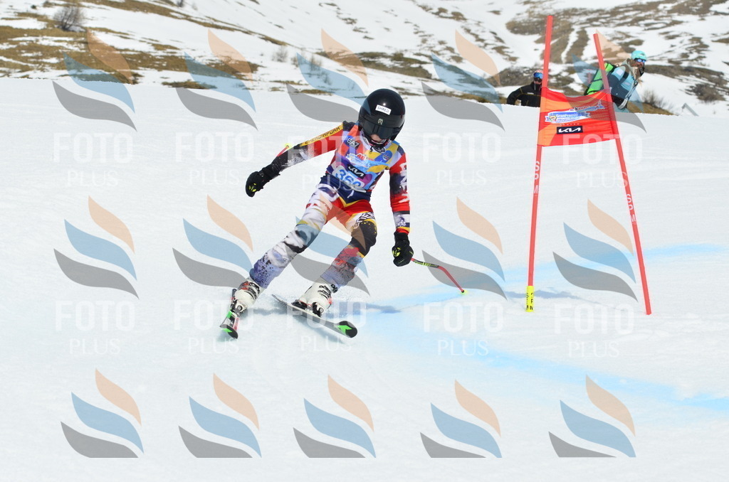 _ELE2857 | holidayphoto