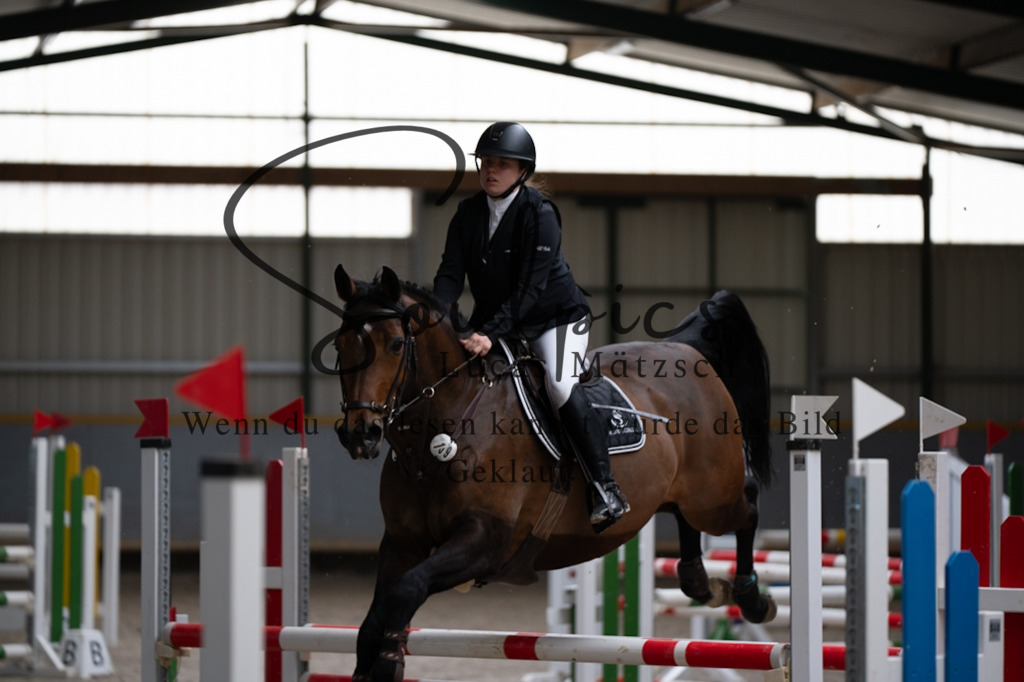 A7V07046 | Pferdefotograf