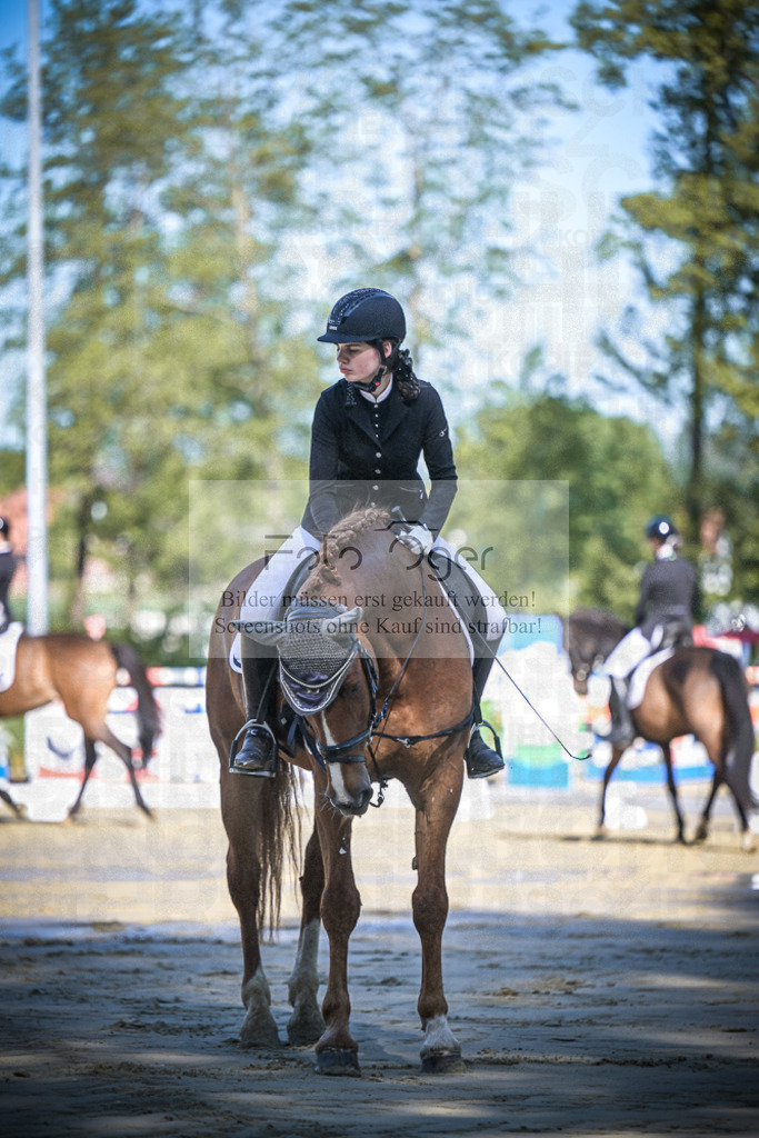 DOS_3091 | Entdecke hochwertige Reitturnierfotos von Foto Oger. Professionell, emotional und authentisch – jetzt Lieblingsmomente im Shop bestellen.Deutschlandweite Turnierfotografie. - Realisiert mit Pictrs.com