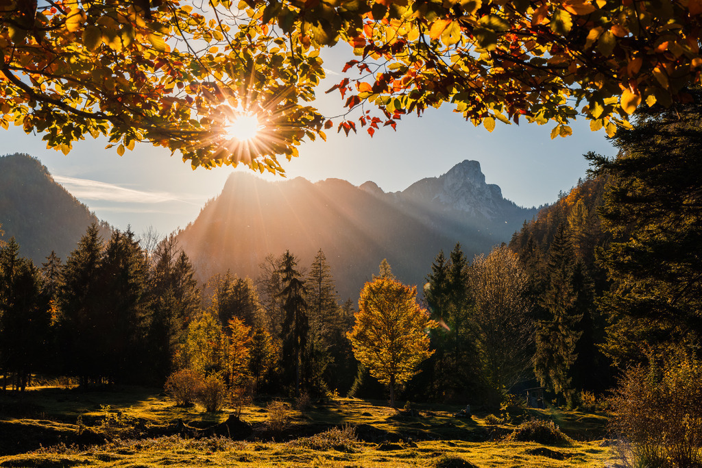 Hörndl im Herbstlicht | ap-design // andreas plenk - Realisiert mit Pictrs.com