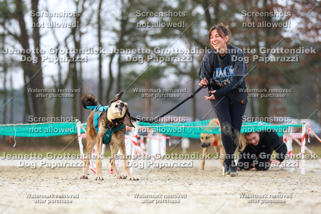 Dog Paparazzi - Strongdog North Mrz26-3792 | Dog Paparazzi Jeanette Grottendiek Fotografie & Videografie - Realisiert mit Pictrs.com