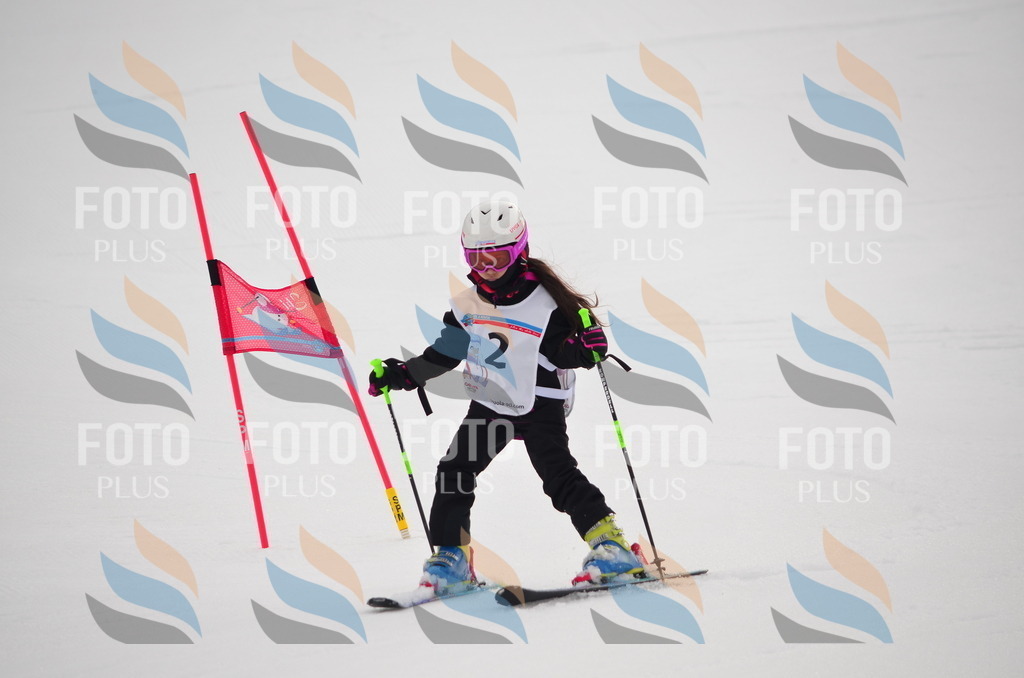 B9579 | holidayphoto