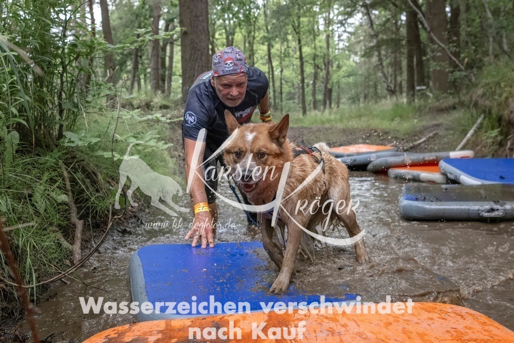 0854_ZZ99917T | kk-dogfotos