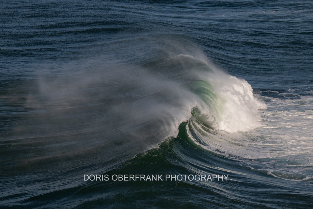 Momentum  | Nazaré: Momentum  - Realisiert mit Pictrs.com