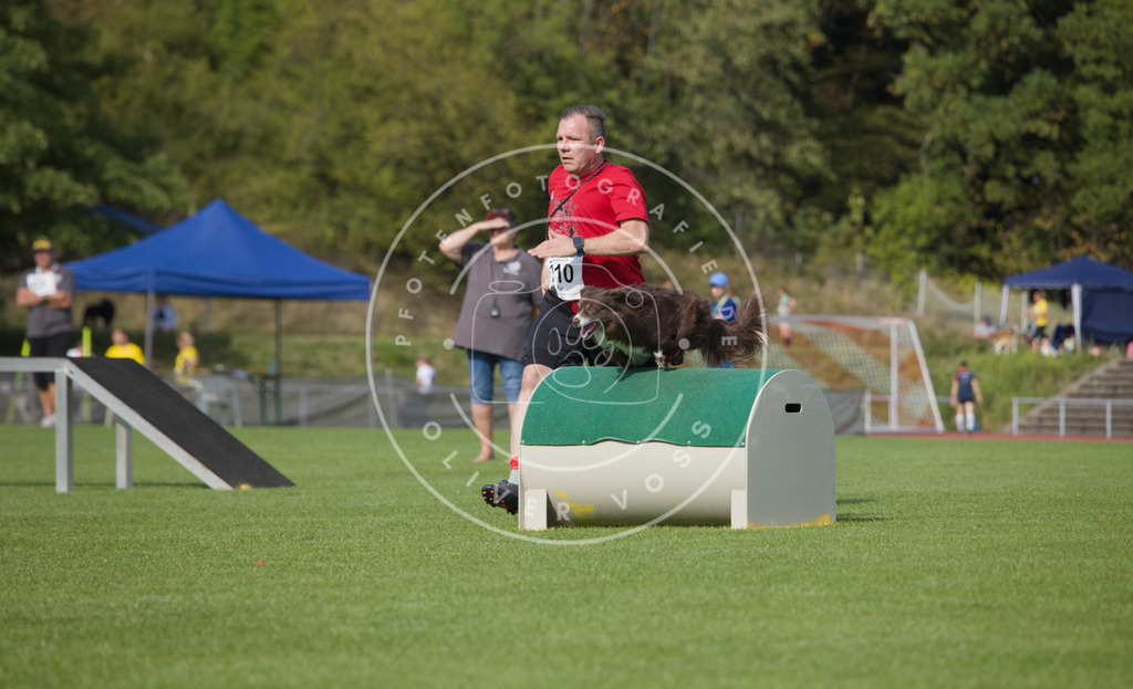 0L8A3668 | Hundefotografie, Tierfotograf, Pfotenfotografie, Fotoshooting Hund, Hunde Portrait, Hundesport, Hundeportraits, Heideshooting, Hunde, Sportfotograf, Hundefotograf, Turnierhundsport, THS,  - Realisiert mit Pictrs.com