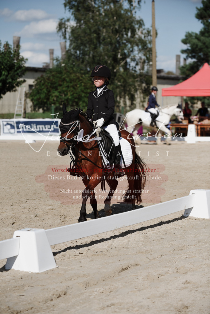 DSC_0228 | Pferde- und Turnierfotografie in Westsachsen. Pferdeportraits, Auftragszeichnungen und intuitive Kunst.