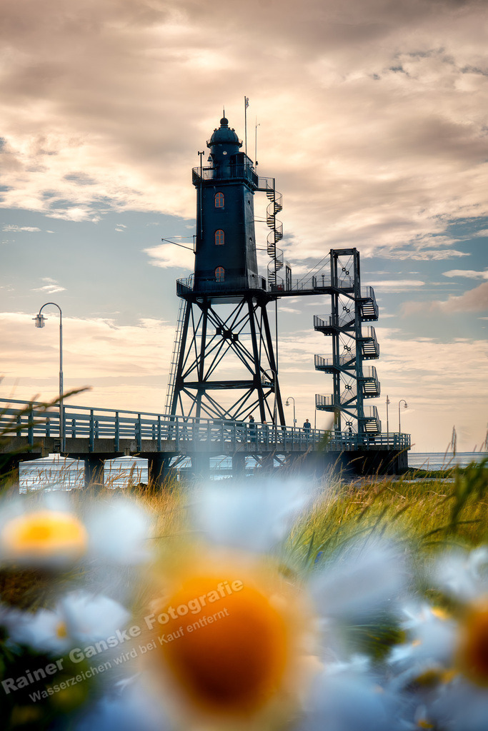 20230729 Dorum Neufeld Obereversand Leuchtturm Blumen -R.Ganske | Onlineshop mit Bildern von Stränden, Häfen und Meer. Leinwände, Poster, Kalender und andere Materialien erhältlich. Kommerzielle Lizenzen möglich.  - Realisiert mit Pictrs.com