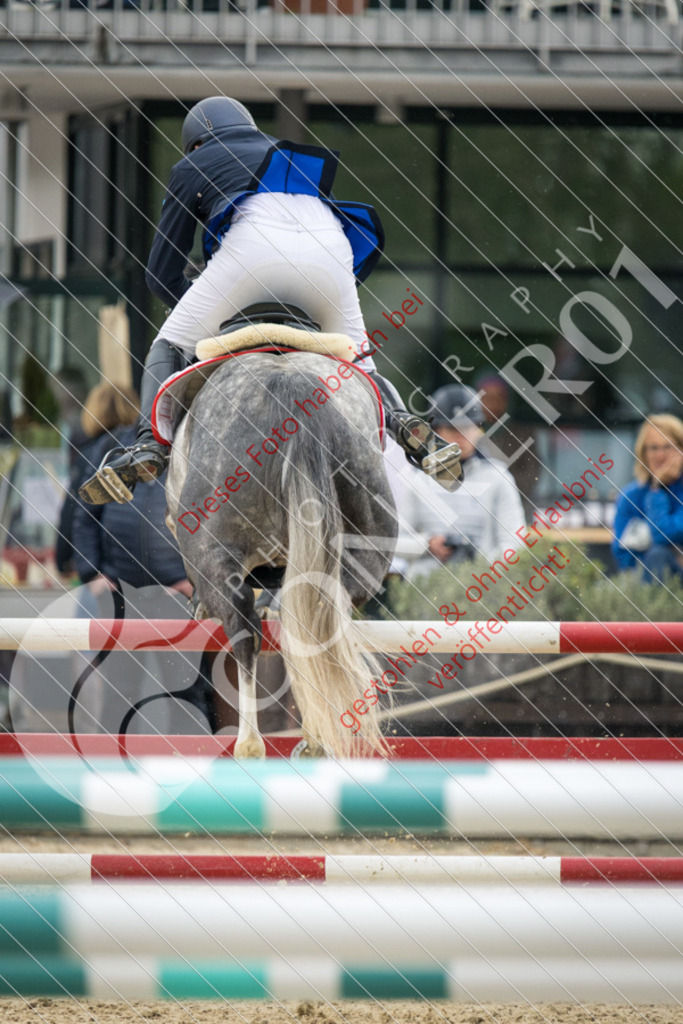 IMG_2666 | Hier findest Du viele Augenblicke aus den Bereichen der Turnier-, Sport- & Tierfotografie. Bilder mit deinem Liebling, Portrait-, Bewerbungs-, Businessbilder können ebenfalls schnell und einfach erstellt werden.