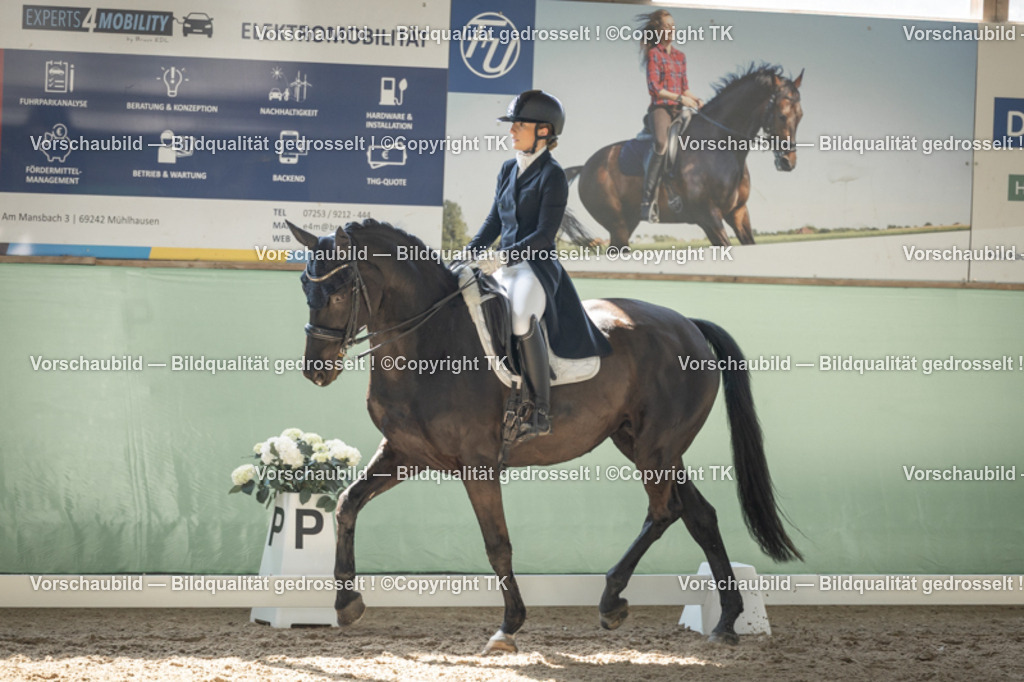 _D5A1679 | Emotionale Pferde- & People-Fotografie rund um Heidelberg, Leimen & Umgebung. Natürliche Fotos von Pferd, Mensch & Familie. Jetzt Termin sichern!