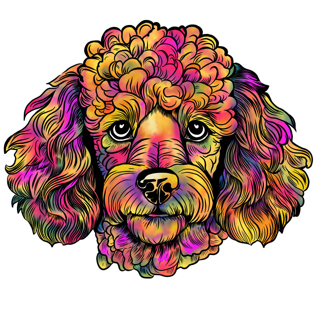 Pudel | Illustrationen, digitalpainting, animals, dogs, hunde, art, Kunst, Illustrationsart, Bielefeld, Germany - Realisiert mit Pictrs.com