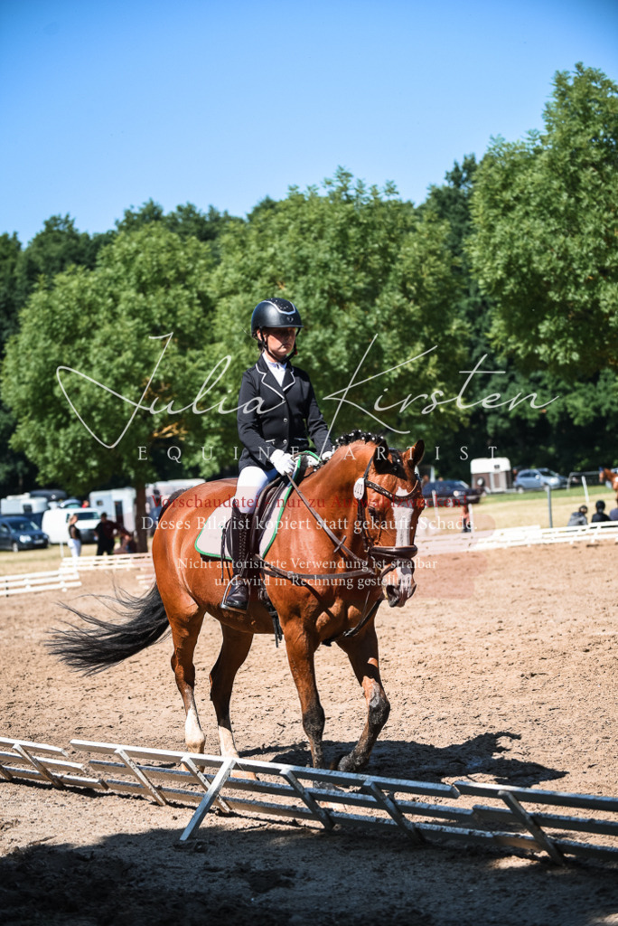 DSC_3449 | Pferde- und Turnierfotografie in Westsachsen. Pferdeportraits, Auftragszeichnungen und intuitive Kunst.