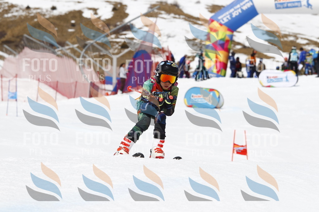 _U3G8219 | holidayphoto