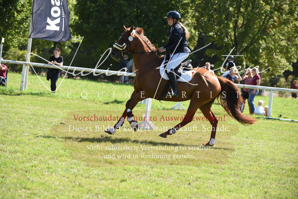 DSC_9353 | Pferde- und Turnierfotografie in Westsachsen. Pferdeportraits, Auftragszeichnungen und intuitive Kunst.