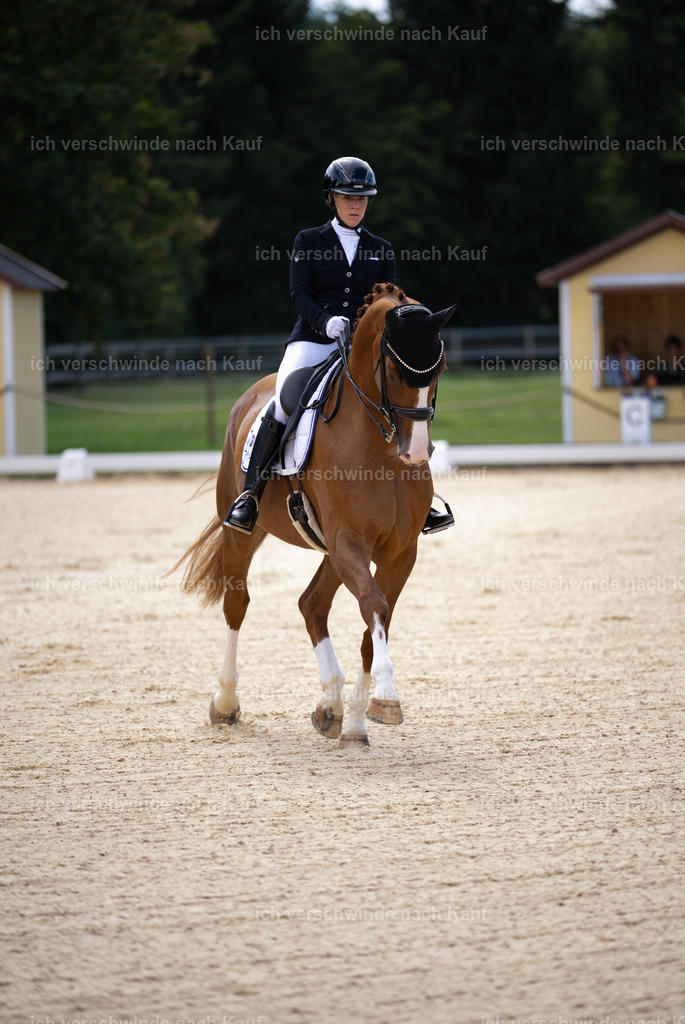 FHC2026_P02_87_13660 | Fichtenhof Classics 2026 – Dressurturnier, Reitanlage Fichtenhof, Schäftlarn