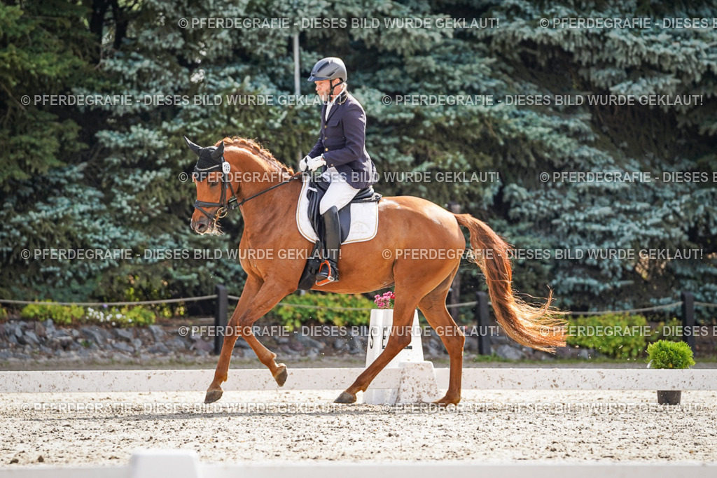 DSC06767 | Pferdegrafie