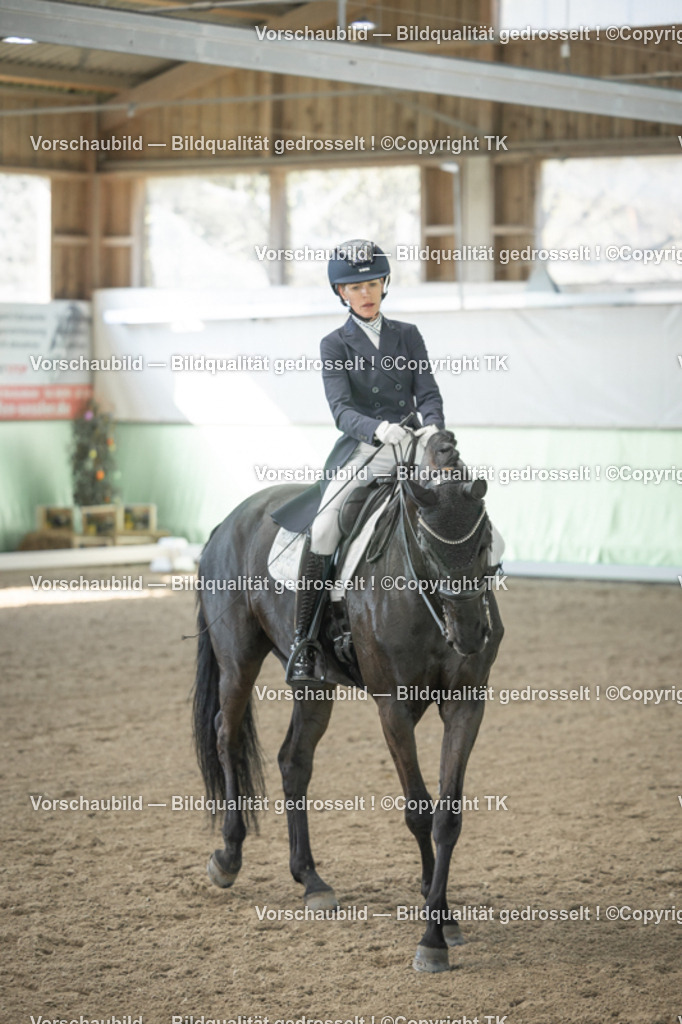 _D5A1130 | Emotionale Pferde- & People-Fotografie rund um Heidelberg, Leimen & Umgebung. Natürliche Fotos von Pferd, Mensch & Familie. Jetzt Termin sichern!