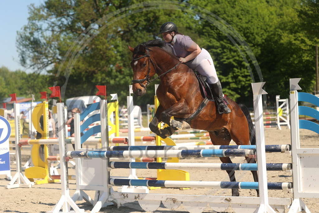 994A6022 | sabrinanicolaifotografie - Realisiert mit Pictrs.com