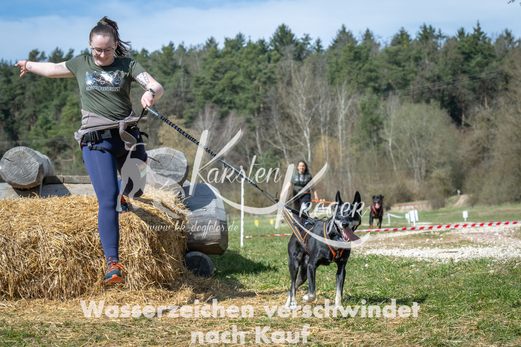 1218_ZZ99086 | kk-dogfotos
