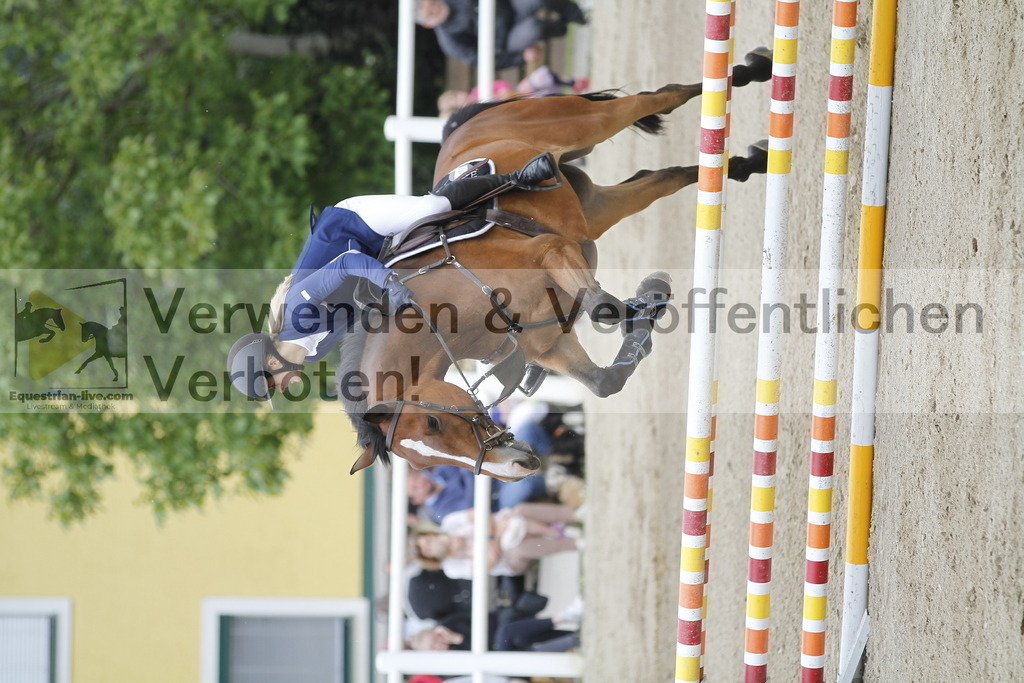 _MG_1042 | equestrian-live-com