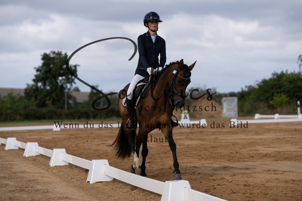 A7V05199 | Pferdefotograf