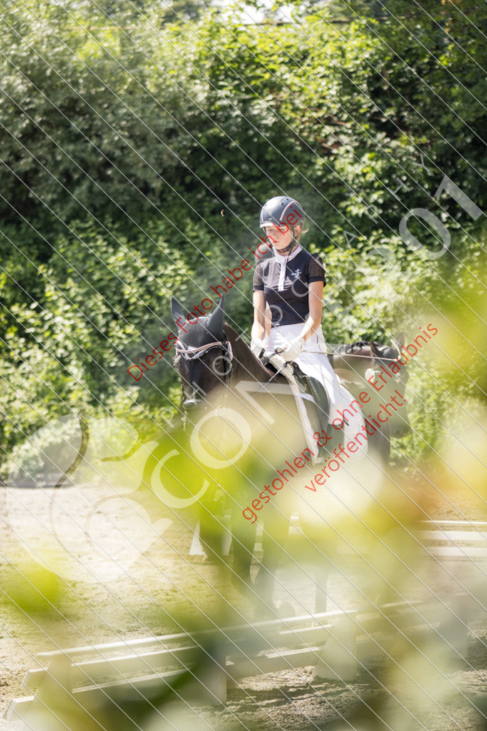 IMG_4615 | Sport-, Event- und Tierfotos in Profiqualität. Einfach auswählen, bestellen und herunterladen. Dein Moment – perfekt festgehalten.