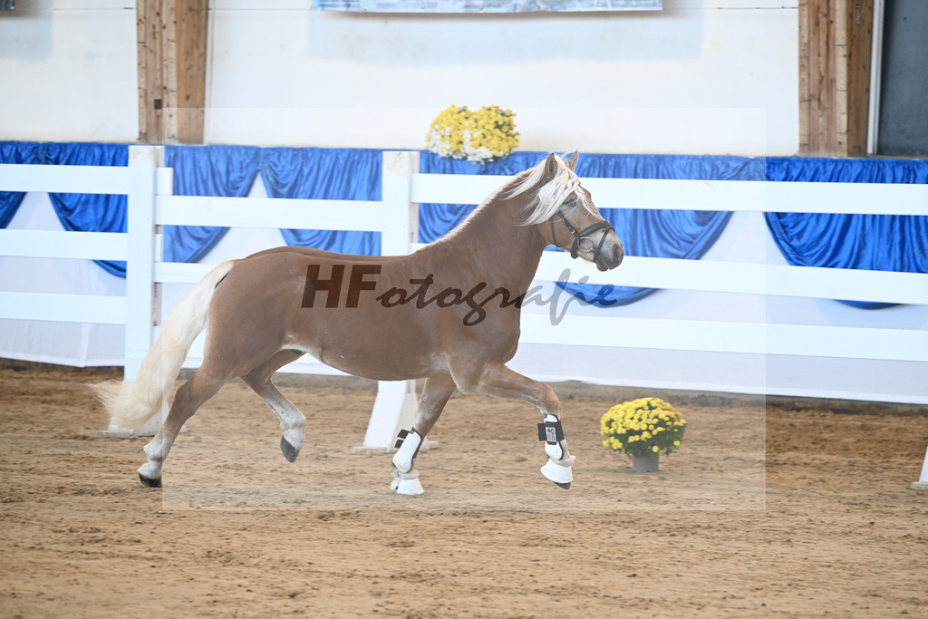 Kat-Nr. 20 nn v. Nakuri_Linder_48250395 | hf-fotografie - Realisiert mit Pictrs.com