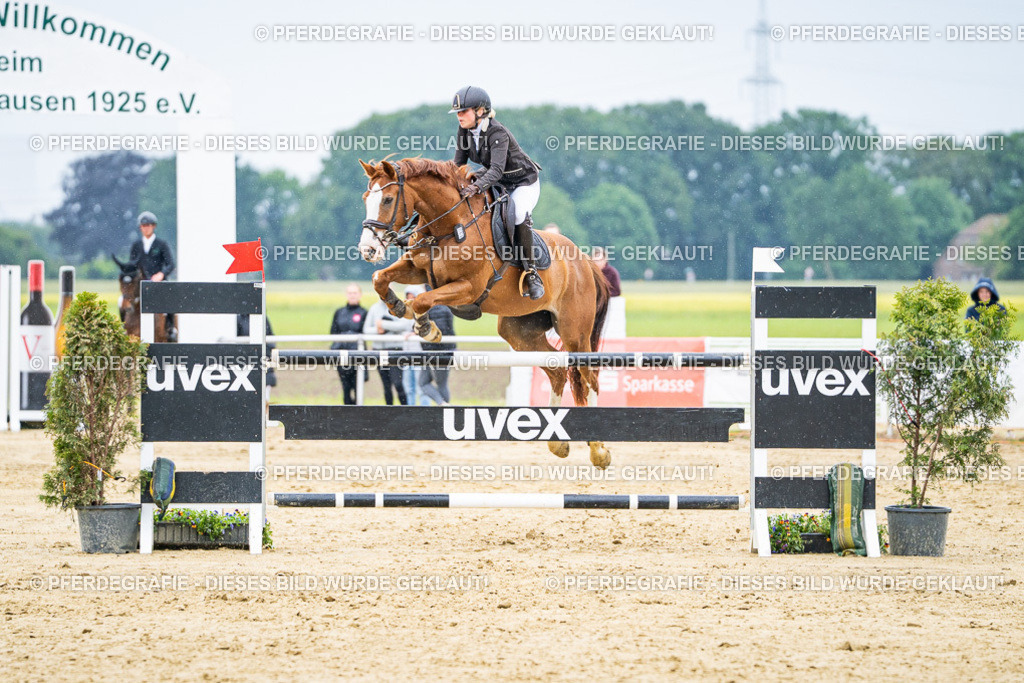 DSC07209 | Pferdegrafie