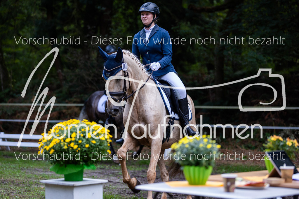 HB-A-Dressur-079 | MomenTaufnahmen Pferdesportfotos