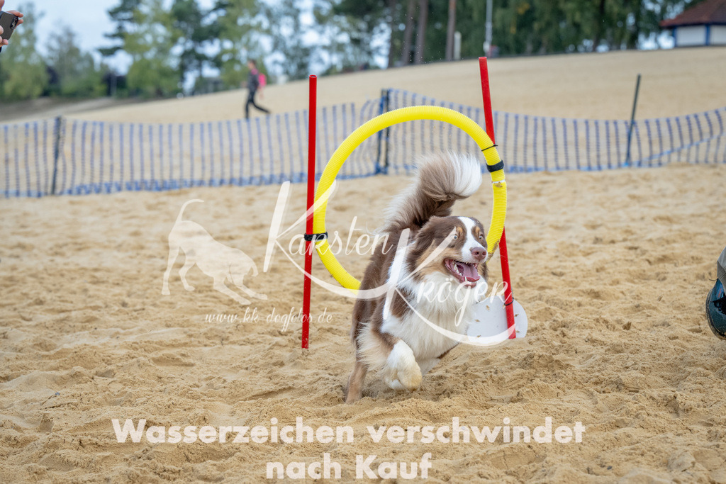 0924_ZZ92371 | kk-dogfotos