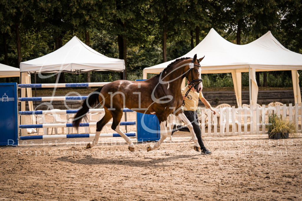 2. Fr00173 | Leoni Ertmer Photography - Realisiert mit Pictrs.com