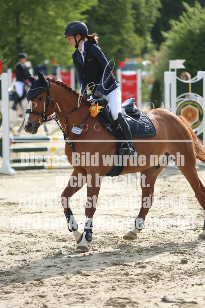 IMGM3786 | pl-fotografie