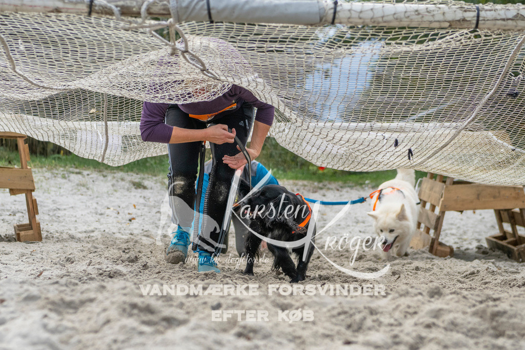 1136_ZZ98323 | kk-dogfotos