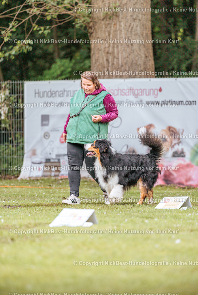 RO-Blumenthal-2026-Nickbest-Hundefotografie-0478 | Dein Hund! Dein Moment! Deine Erinnerungen! Hundefotografie in Bremen Blumenthal. Ich fange die besonderen Momente deines Vierbeiners ein – ob Indoor mit Blitzanlage oder in der freien Natur. Sicher dir dein Moment und dein Termin für eure Erinnerungen.