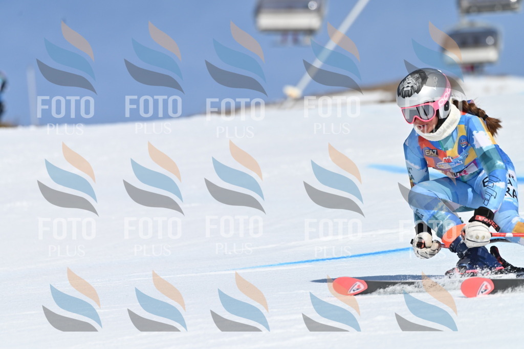 BGV_8693 | holidayphoto